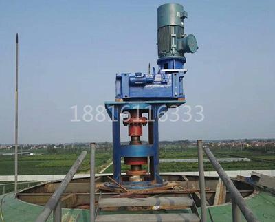 大型秸秆发酵罐搅拌器